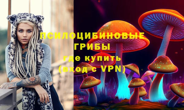гашик Балахна