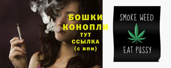 скорость Белокуриха