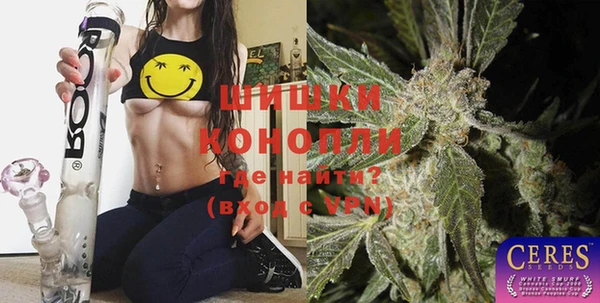 сатива Богородицк