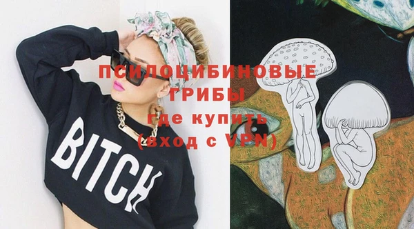 синтетический гашиш Богородск