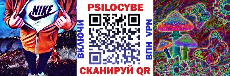 мега как зайти  Бирюсинск  Галлюциногенные грибы прущие грибы 